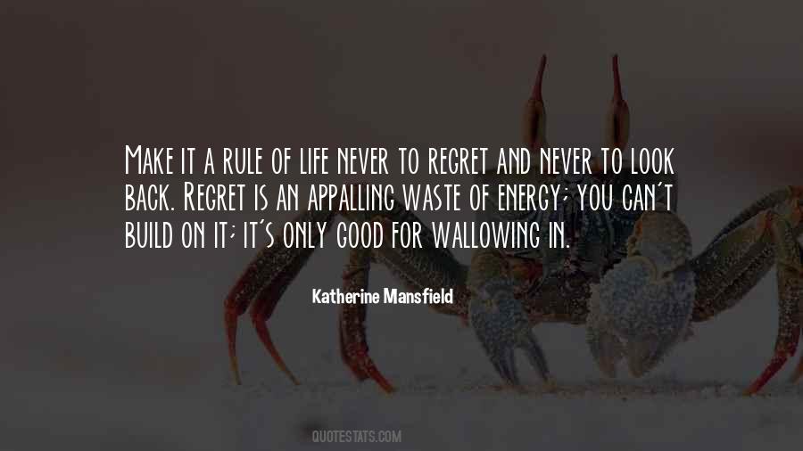 Quotes About Regret In Life #418455