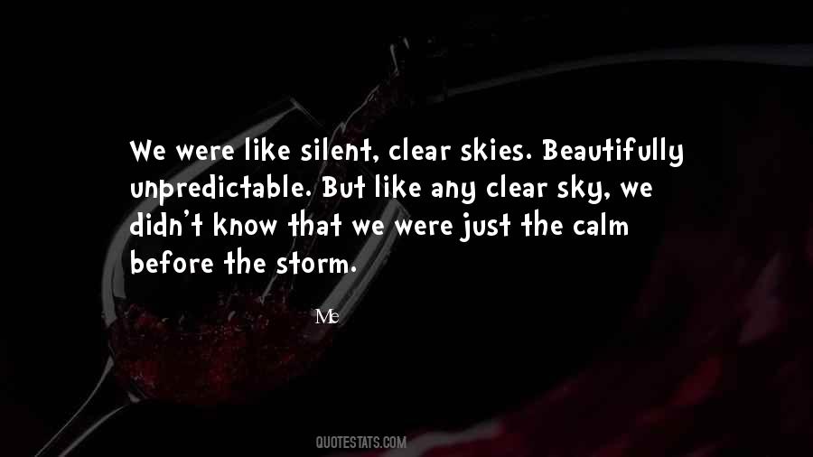 Storm Before The Calm Quotes #1276769
