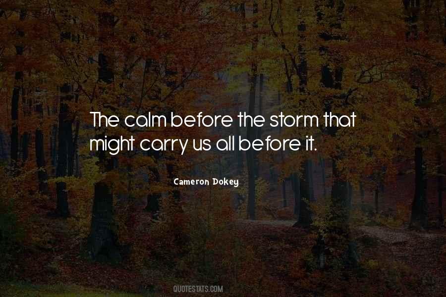 Storm Before The Calm Quotes #1389033