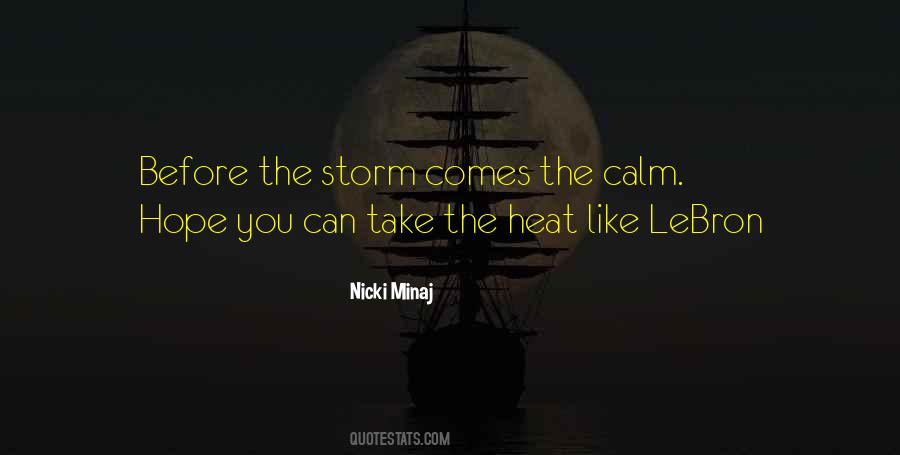 Storm Before The Calm Quotes #1435724