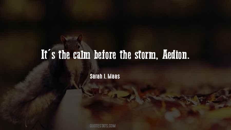 Storm Before The Calm Quotes #266967