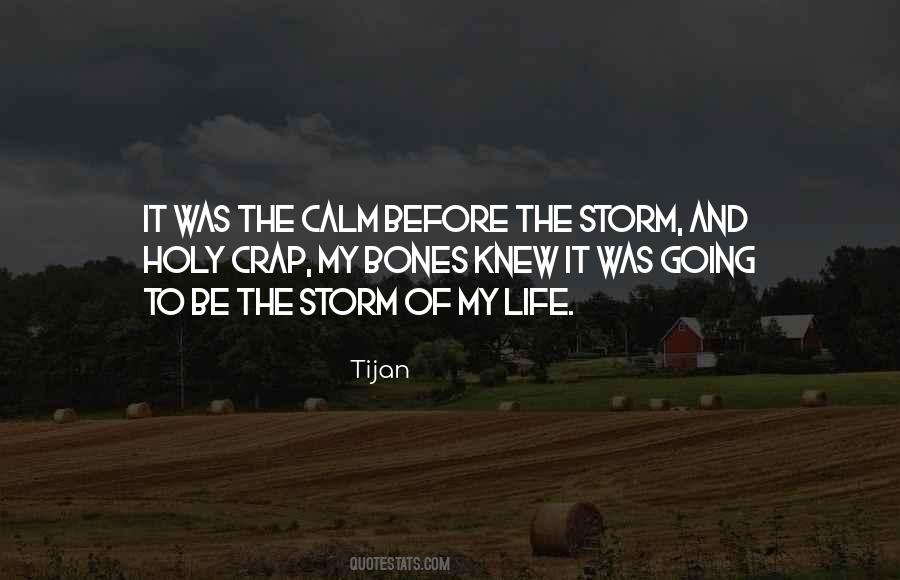 Storm Before The Calm Quotes #79237
