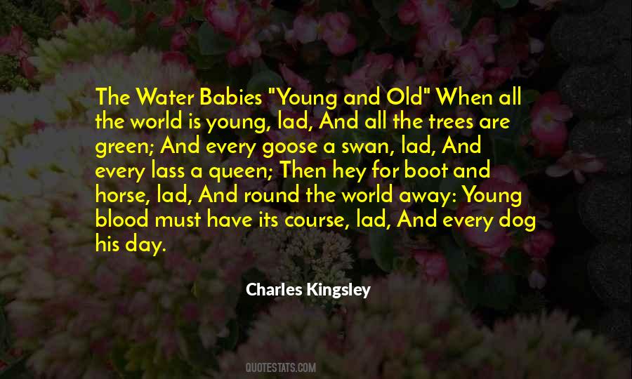 Young Lad Quotes #1523513