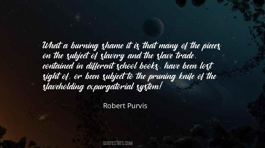 Quotes About Book Burning #79306