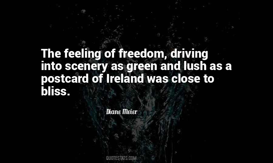 Quotes About The Feeling Of Happiness #279993
