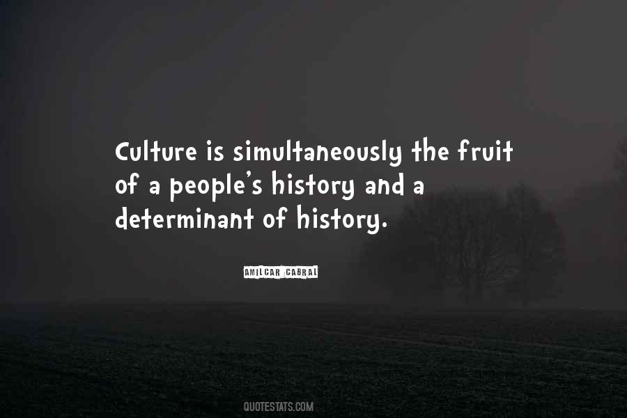 Quotes About History And Culture #158024