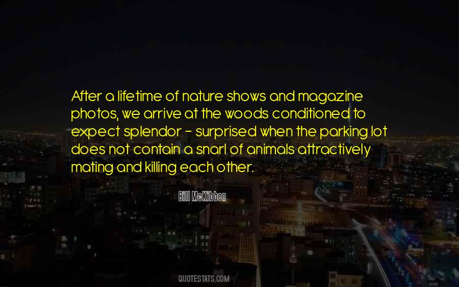 Quotes About Splendor #103094