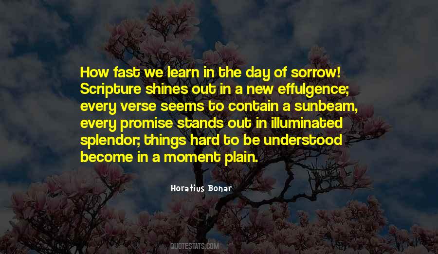 Quotes About Splendor #1143546