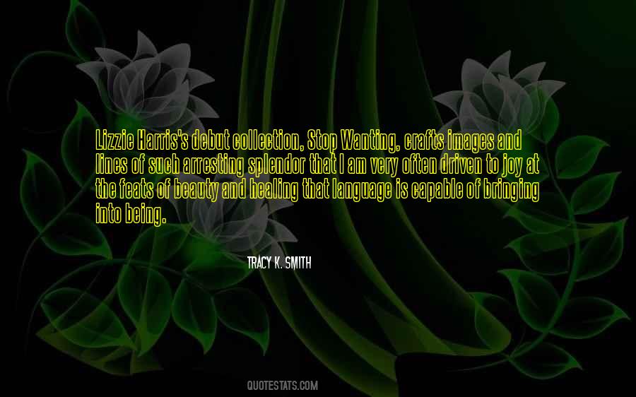 Quotes About Splendor #995436