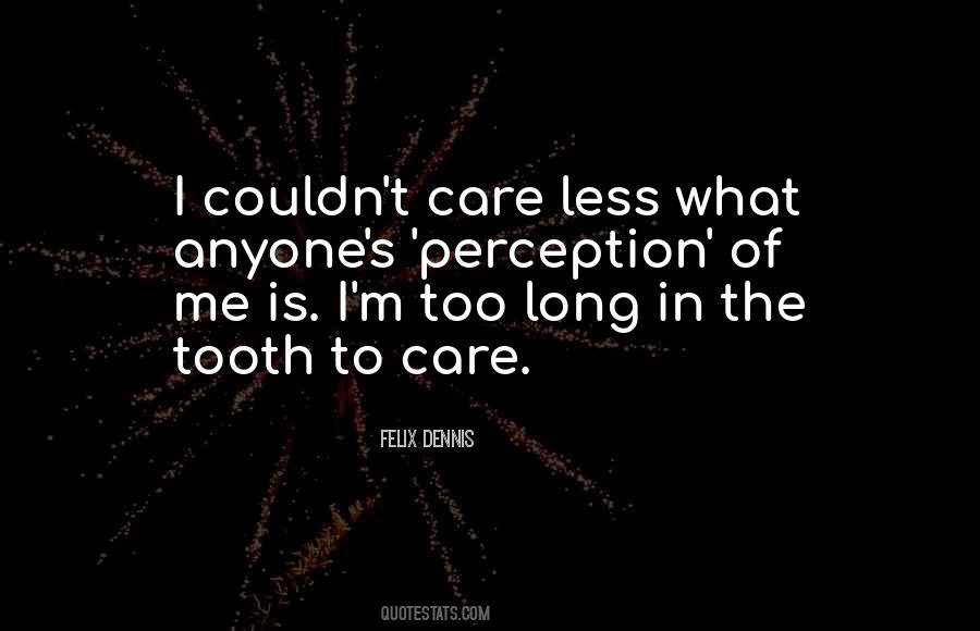 Quotes About Couldn't Care Less #235570