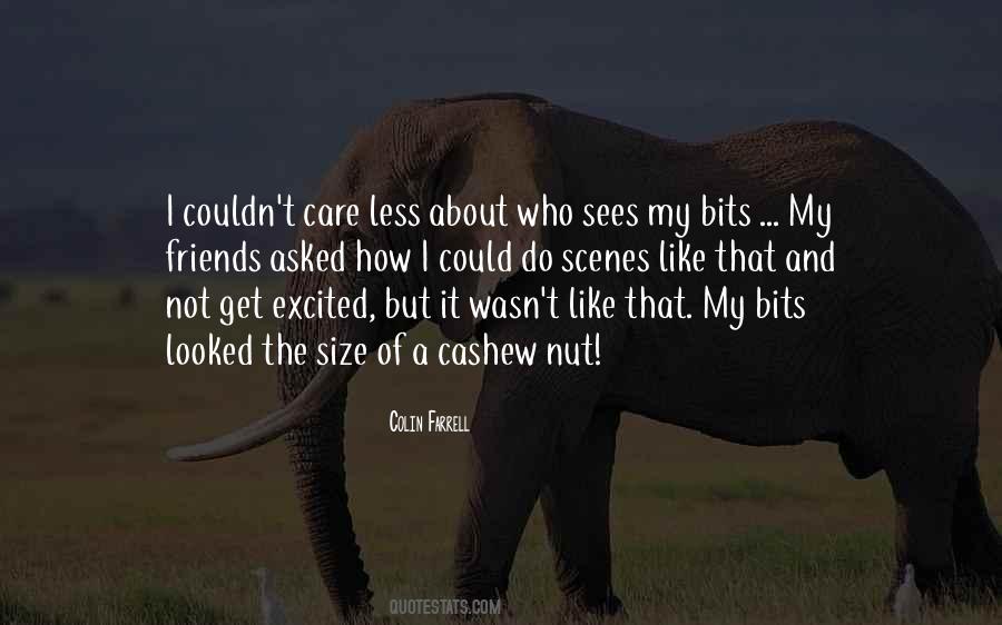 Quotes About Couldn't Care Less #496906