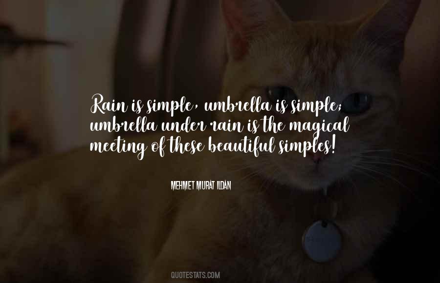 Quotes About Umbrella #1244726