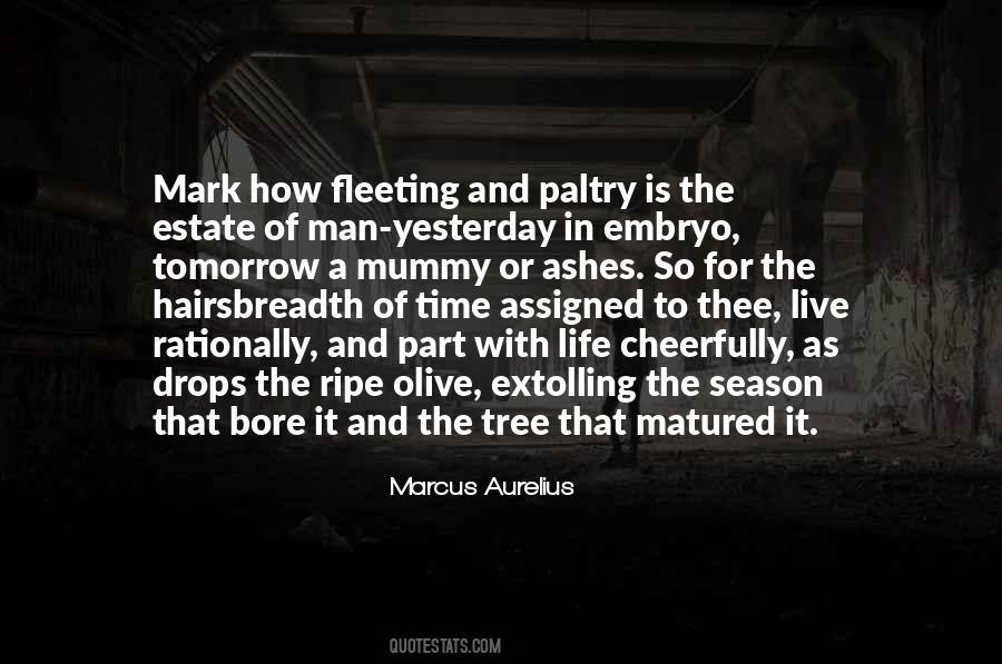 Quotes About A Tree Of Life #940752