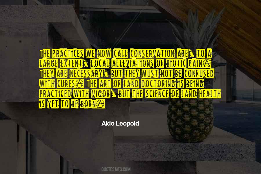 Not Being Confused Quotes #936081