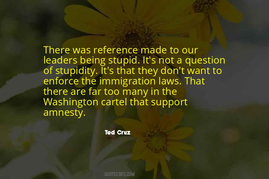 Quotes About Amnesty #1034628