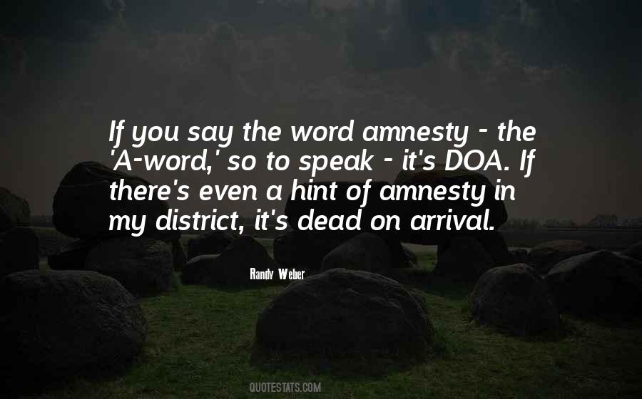 Quotes About Amnesty #1277521