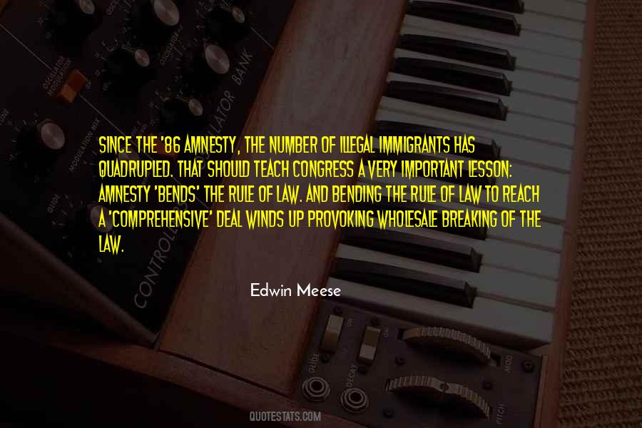 Quotes About Amnesty #136958