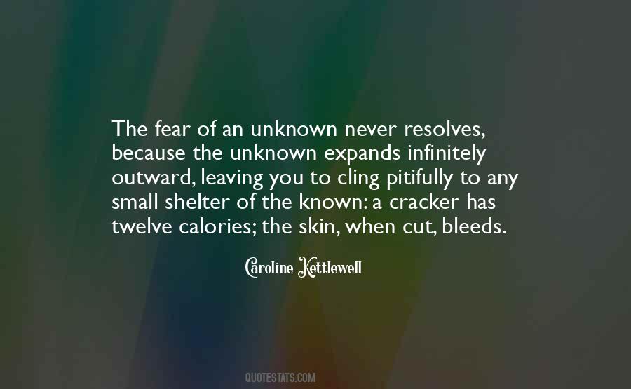 Quotes About Unknown Fear #258221