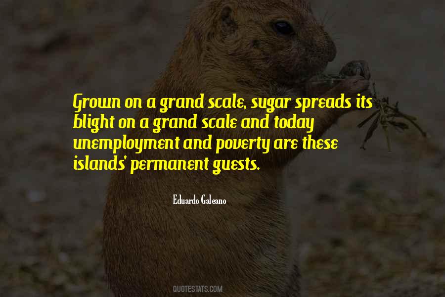 Quotes About Poverty And Unemployment #1624221