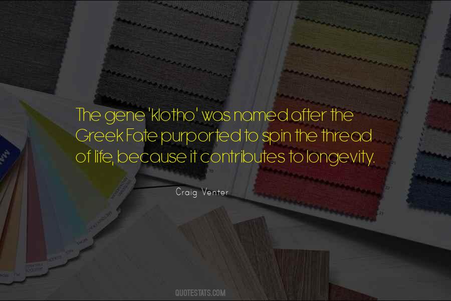 The Treasure Map Quotes #278900
