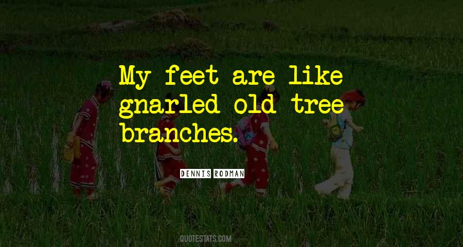 Quotes About Tree Branches #1289189