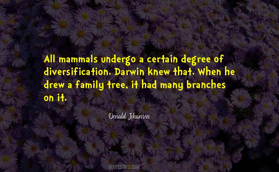 Quotes About Tree Branches #401869