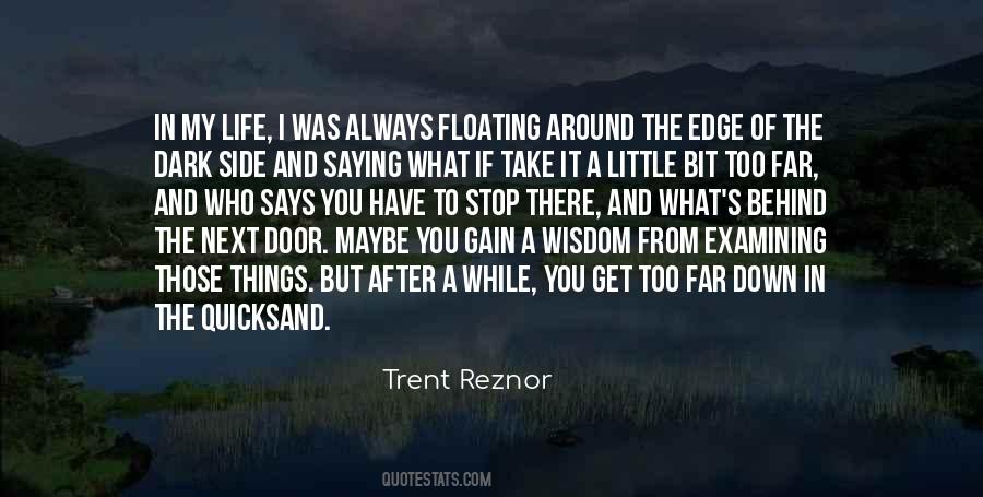 Quotes About Examining Yourself #40695