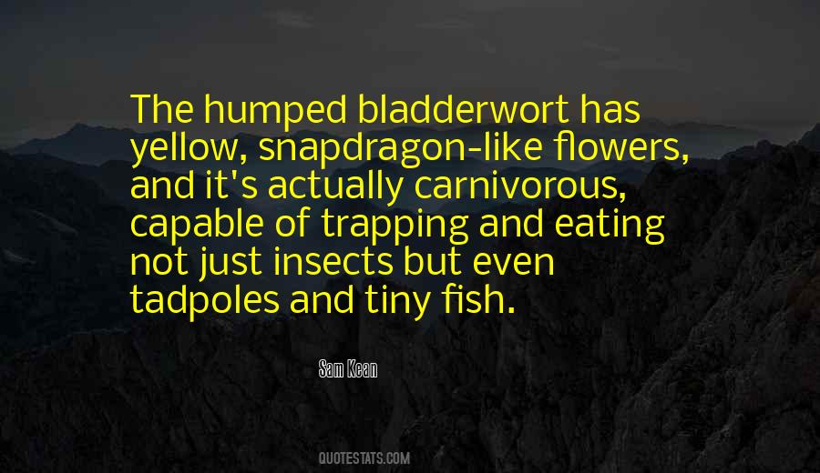 Quotes About Tadpoles #873924
