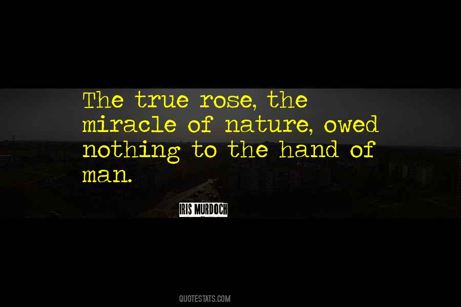Nature S Beauty Quotes #946912