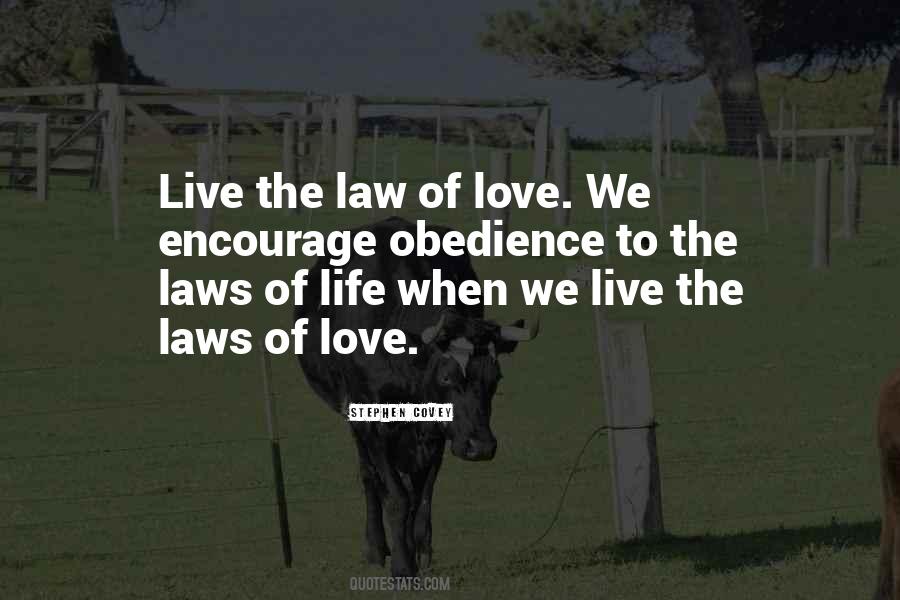 Love Laws Quotes #931247