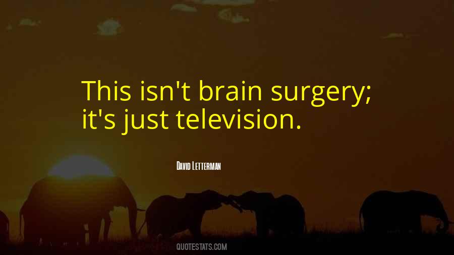 Quotes About Television #1835915