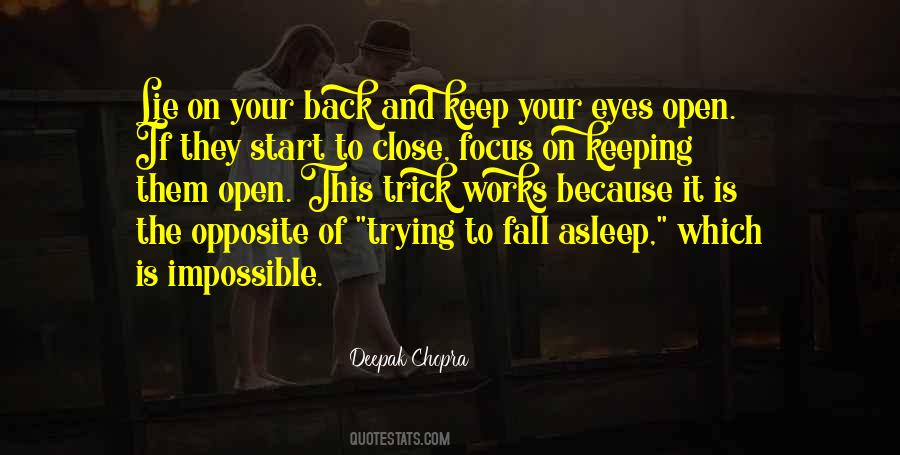 Quotes About Keeping On Trying #1178426
