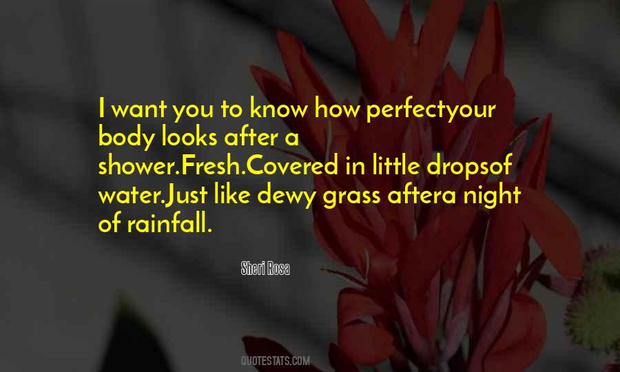 Rain Drops Quotes #1695236