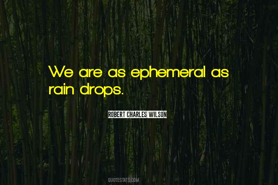 Rain Drops Quotes #42902