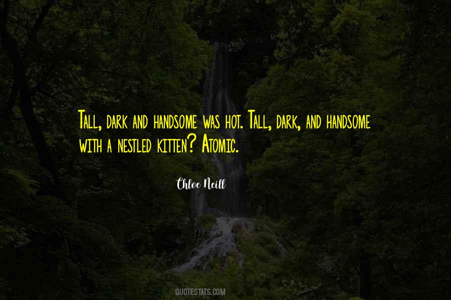 Quotes About Tall Dark And Handsome #469174