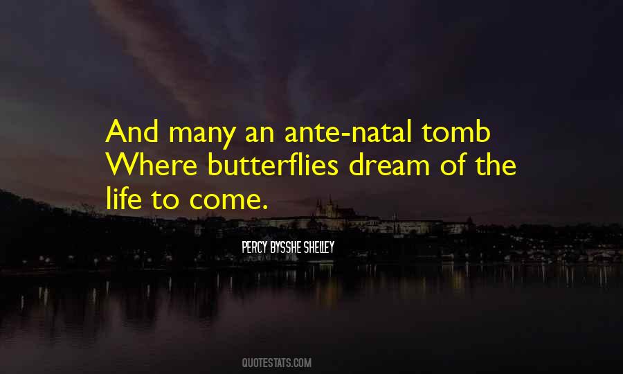 Quotes About Butterfly Life #1085725