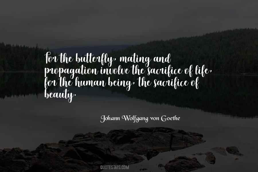 Quotes About Butterfly Life #1261320