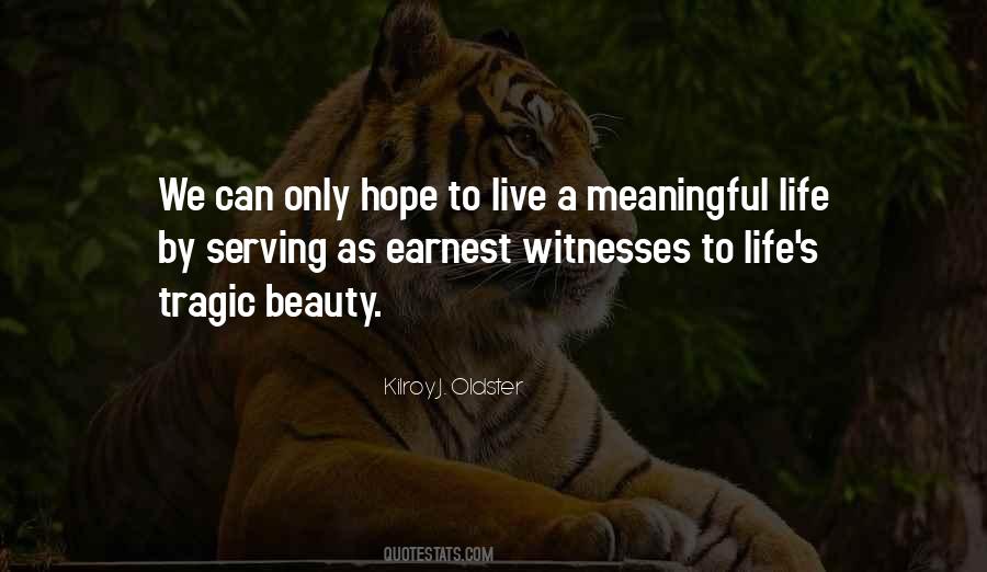 Quotes About A Meaningful Life #1865330