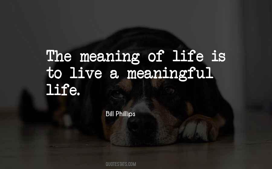 Quotes About A Meaningful Life #738080