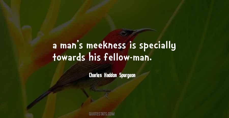Quotes About Meekness #1133684