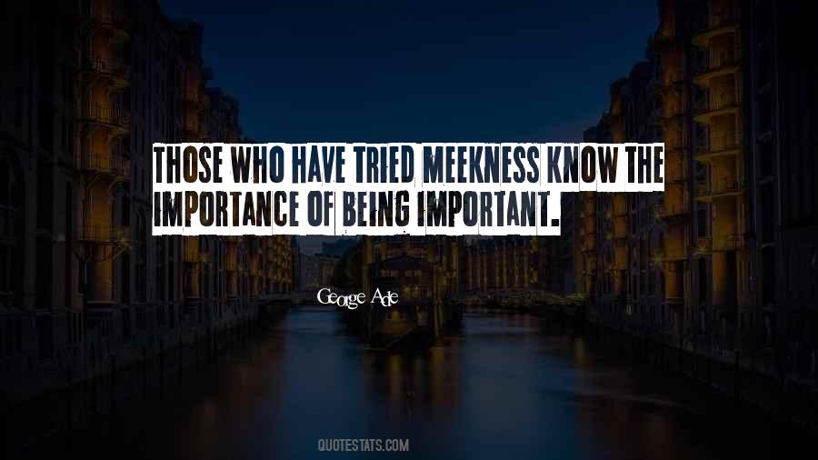 Quotes About Meekness #1455904