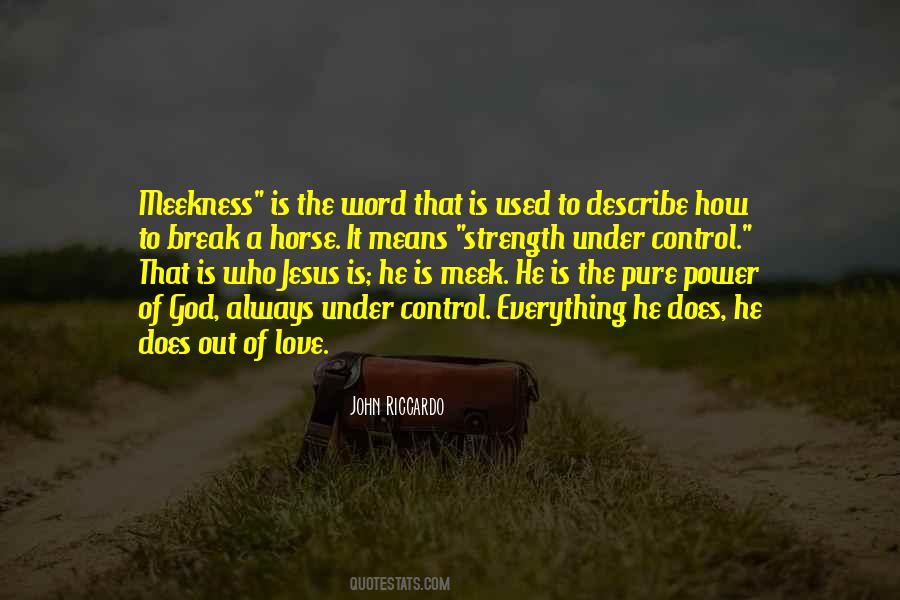 Quotes About Meekness #871115