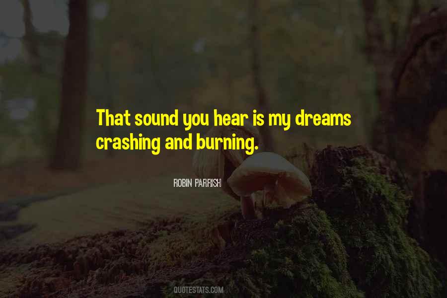 Quotes About Crashing And Burning #941005