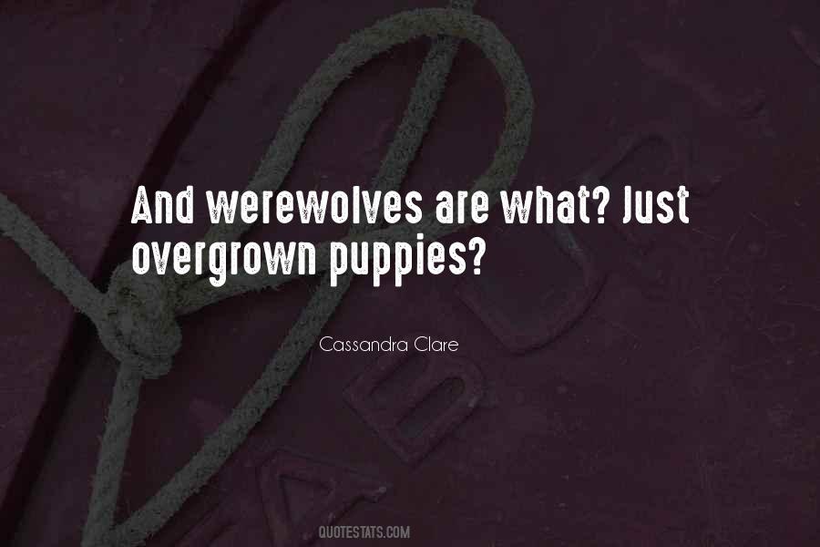 Quotes About Werewolves #1219608