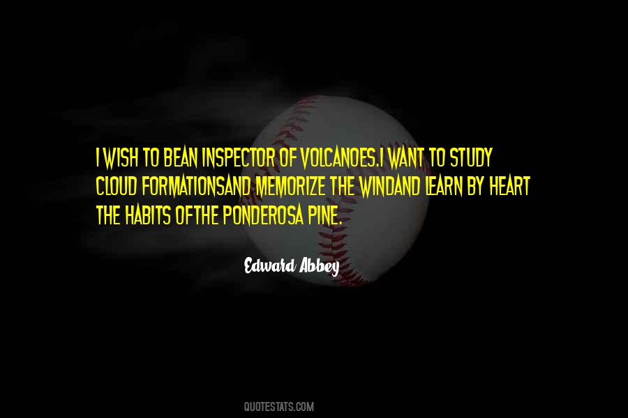 Quotes About Memorize #738990