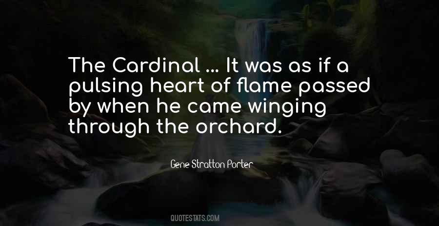 Quotes About Cardinals #1669120