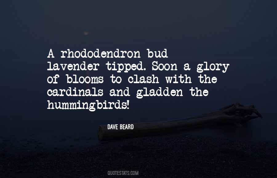 Quotes About Cardinals #1750936