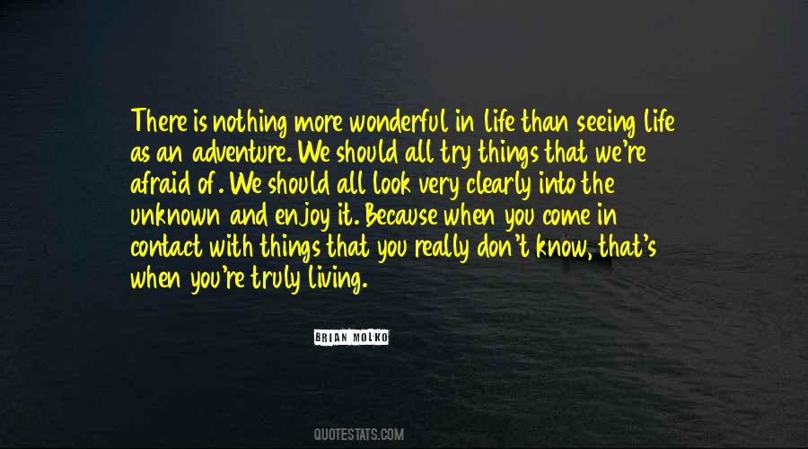 Quotes About Wonderful Things In Life #1016956