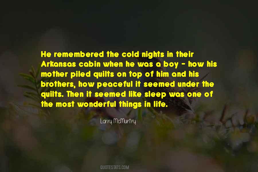 Quotes About Wonderful Things In Life #1428860