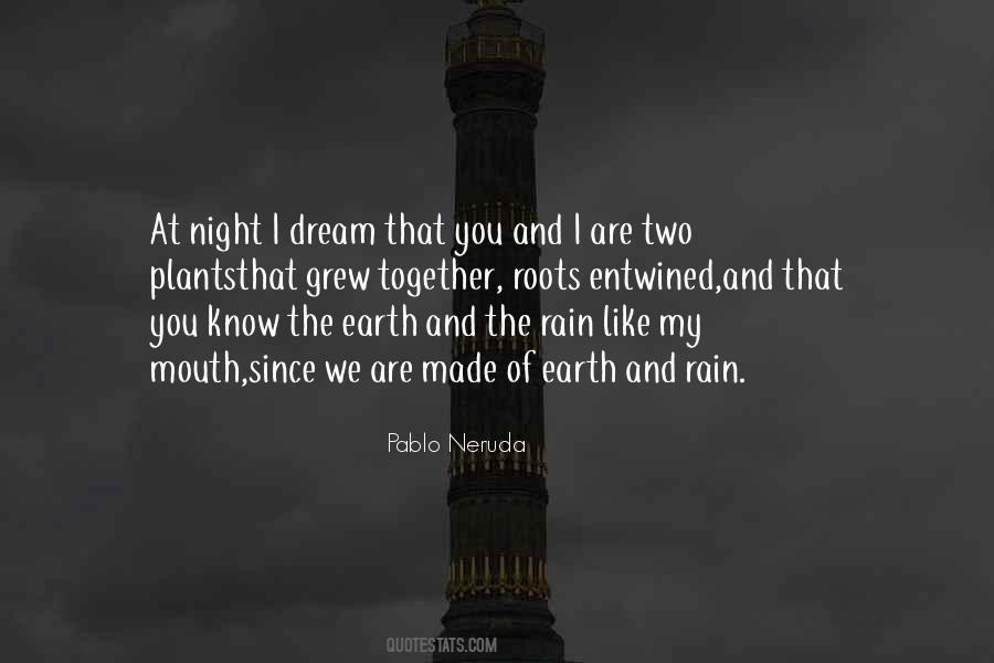 Rain At Night Quotes #990063